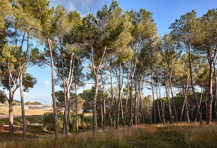 POLIESPORTIU MATADEPERA 01